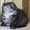 Шотландские котята (фолд и страйт) #820025