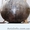 Золочение купола, иконостаса киев, - <ro>Изображение</ro><ru>Изображение</ru> #2, <ru>Объявление</ru> #835126