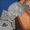 шотландские,лиловые котята с плюшевой шубкой - <ro>Изображение</ro><ru>Изображение</ru> #1, <ru>Объявление</ru> #834807