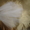 свадебное платье с акссесуарами - <ro>Изображение</ro><ru>Изображение</ru> #5, <ru>Объявление</ru> #847974