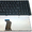 Клавиатура для ноутбука Lenovo IdeaPad G570 Black RU #841855