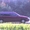 Продам Volkswagen Passat 1996 года - <ro>Изображение</ro><ru>Изображение</ru> #2, <ru>Объявление</ru> #862587