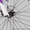 Продам велосипед Bergamont Icee Disc FMN  - <ro>Изображение</ro><ru>Изображение</ru> #5, <ru>Объявление</ru> #867381