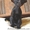 Стильные ориентальные котята - <ro>Изображение</ro><ru>Изображение</ru> #2, <ru>Объявление</ru> #814554