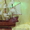 Корабль сувенирный деревянный - <ro>Изображение</ro><ru>Изображение</ru> #2, <ru>Объявление</ru> #872264