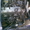 купить погрузчик Коматсу в Киеве на 1 тонну - <ro>Изображение</ro><ru>Изображение</ru> #3, <ru>Объявление</ru> #870374