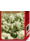 Семена газонных трав и травосмесей - <ro>Изображение</ro><ru>Изображение</ru> #6, <ru>Объявление</ru> #85782