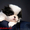щенок японского хина, кобель - <ro>Изображение</ro><ru>Изображение</ru> #8, <ru>Объявление</ru> #338920