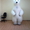 танцующий белый медведь на корпоротив, свадьбу или любой другой праздник! #879658
