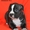 Продается щенок американского стаффордширского терьера из питомника 