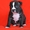 Продается щенок американского стаффордширского терьера из питомника "Ray Set" ! - <ro>Изображение</ro><ru>Изображение</ru> #2, <ru>Объявление</ru> #889178
