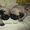 Мопс,перспективные палевые щенки КСУ - <ro>Изображение</ro><ru>Изображение</ru> #3, <ru>Объявление</ru> #886540