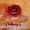 Кованые розы - необычный подарок для девушки - <ro>Изображение</ro><ru>Изображение</ru> #2, <ru>Объявление</ru> #898680