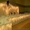 Гирлянда Бахрома 5х0,5м белая соединяемая - <ro>Изображение</ro><ru>Изображение</ru> #6, <ru>Объявление</ru> #899180