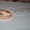 Продам мужской золотой перстень с бриллиантами - <ro>Изображение</ro><ru>Изображение</ru> #2, <ru>Объявление</ru> #906280