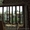 экологичные Деревянные стеклопакеты для Вашей квартиры !!! - <ro>Изображение</ro><ru>Изображение</ru> #1, <ru>Объявление</ru> #899465