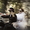 Организация и проведение тематических свадеб - <ro>Изображение</ro><ru>Изображение</ru> #3, <ru>Объявление</ru> #898725