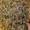 Биозавивка волос,  биозавивка Мосса,  биозавивка цена Киев #914313