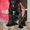 Продается подрощенный щенок бульмастифа из питомника - <ro>Изображение</ro><ru>Изображение</ru> #5, <ru>Объявление</ru> #915407