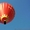Полет на Воздушном шаре в Чернигове,  Киеве и областях.  #920415