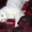 Кошка Ромашка ищет дом! - <ro>Изображение</ro><ru>Изображение</ru> #3, <ru>Объявление</ru> #925586