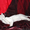 Кошка Ромашка ищет дом! - <ro>Изображение</ro><ru>Изображение</ru> #6, <ru>Объявление</ru> #925586
