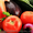 Компания KMG Group - фрукты и овощи из Польши оптом. #925423