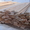 доска обрезная ,брус из лиственницы сибирской,кедра - <ro>Изображение</ro><ru>Изображение</ru> #2, <ru>Объявление</ru> #925398