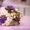 Флористическая мастерская Bouquet - <ro>Изображение</ro><ru>Изображение</ru> #6, <ru>Объявление</ru> #931040