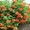 Кампсис, вьющееся с широкими листьями и большими красными соцветиями - <ro>Изображение</ro><ru>Изображение</ru> #1, <ru>Объявление</ru> #945795