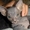 Милые и добрые котята "Донской Сфинкс" - <ro>Изображение</ro><ru>Изображение</ru> #1, <ru>Объявление</ru> #955341