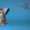 Котята мейн кун из питомника - <ro>Изображение</ro><ru>Изображение</ru> #2, <ru>Объявление</ru> #968207