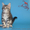 Котята мейн кун из питомника - <ro>Изображение</ro><ru>Изображение</ru> #3, <ru>Объявление</ru> #968207