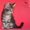 Котята мейн кун из питомника - <ro>Изображение</ro><ru>Изображение</ru> #6, <ru>Объявление</ru> #968207