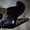 Продам почти новые оригинальные ботинки Andrea Lattanzi (Италия) - <ro>Изображение</ro><ru>Изображение</ru> #3, <ru>Объявление</ru> #975511