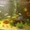 Чистка аквариумов озер - <ro>Изображение</ro><ru>Изображение</ru> #2, <ru>Объявление</ru> #588680