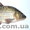 Продается свежая охлажденная рыба - <ro>Изображение</ro><ru>Изображение</ru> #7, <ru>Объявление</ru> #984286