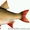 Продается свежая охлажденная рыба - <ro>Изображение</ro><ru>Изображение</ru> #9, <ru>Объявление</ru> #984286