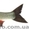 Продается свежая охлажденная рыба - <ro>Изображение</ro><ru>Изображение</ru> #3, <ru>Объявление</ru> #984286