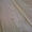 терасная доска-лиственница - <ro>Изображение</ro><ru>Изображение</ru> #1, <ru>Объявление</ru> #986830
