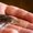 Рыбная продукция осетровых (оплодотворенная икра,  личинка,  малек) #1012274