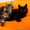 Чудные Котята Мейн-Кунята Ждут Вас #1009461