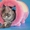 Крупные  котята мейн кун - <ro>Изображение</ro><ru>Изображение</ru> #2, <ru>Объявление</ru> #1029479