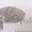 «Аква-Саббия» – Фракционированный кварцевый песок для фильтров - <ro>Изображение</ro><ru>Изображение</ru> #3, <ru>Объявление</ru> #1022817