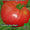 помидоры серии Сибирский сад  Сибирский Козырь