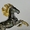 Продажа Серебряная миниатюрная скульптура  коня - <ro>Изображение</ro><ru>Изображение</ru> #4, <ru>Объявление</ru> #1042608