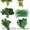 Продам зелень, салаты, овощи оптом - <ro>Изображение</ro><ru>Изображение</ru> #2, <ru>Объявление</ru> #1037550