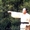 ХАПКИДО корейское боевое искусство - <ro>Изображение</ro><ru>Изображение</ru> #2, <ru>Объявление</ru> #1068366