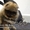 Великолепные щенки карликового померанского шпица! - <ro>Изображение</ro><ru>Изображение</ru> #2, <ru>Объявление</ru> #1082843