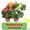 Комнатные растения и цветы #1095846